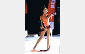 52e6bdc1afbba_LiseBelfort2014.png