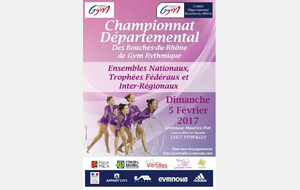 Résultats - Compétition départementale Ensembles Nationaux + TF + IR