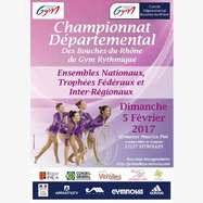 Résultats - Compétition départementale Ensembles Nationaux + TF + IR